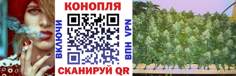 Конопля LSD WEED  Валдай 